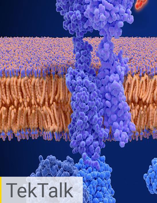 Interrogating Cell Signaling