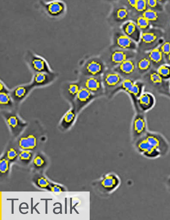 Cell Counting