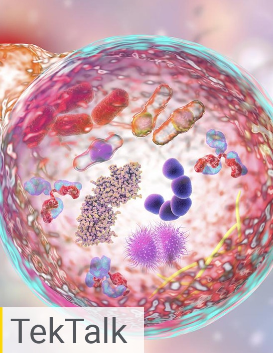 Cell Biology – Cell Culture Quality Control Assays