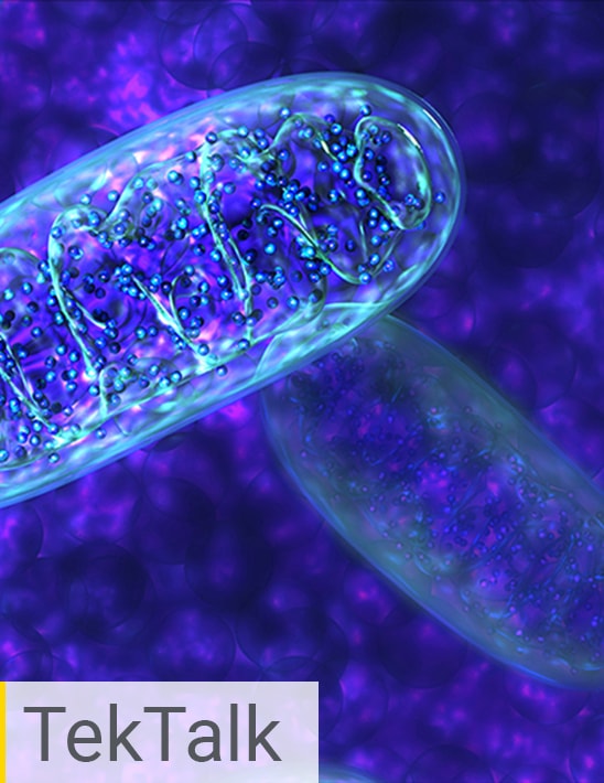 Cell Metabolism