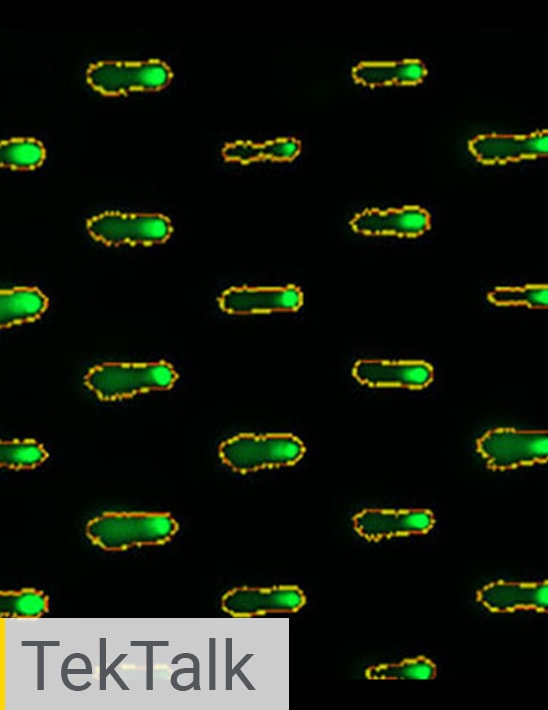 Genotoxicity