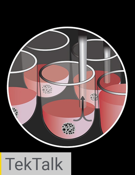 Spheroids - 3D Cell Culture