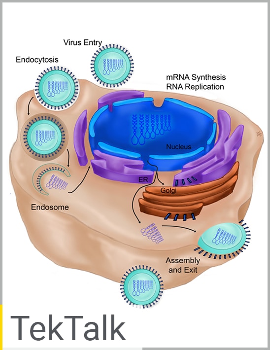 Virology