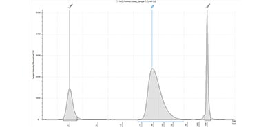 SureSelectXT workflow analyzed with the D1000 ScreenTape assay using a TapeStation system