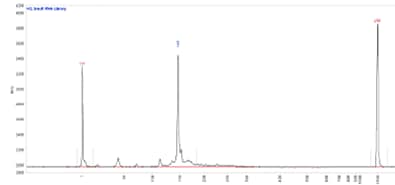 Small RNA library separated using the HS Small Fragment kit