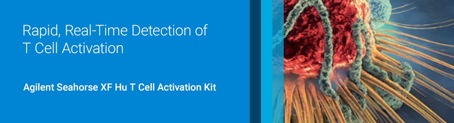 Rapid, Real-Time Detection of ​T Cell Activation​