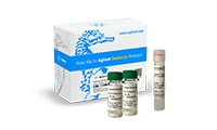 Seahorse XF Hu T Cell Activation Assay Kit