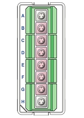 XFp miniplates