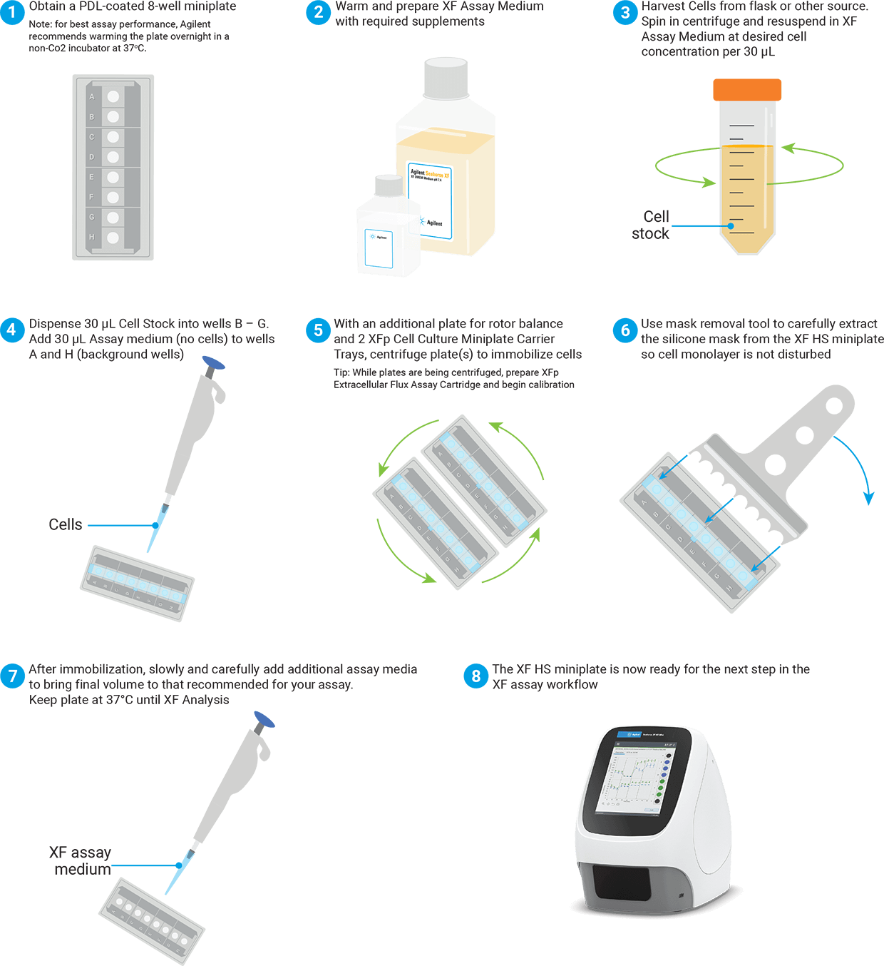 Workflow schematic