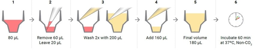 Port layout