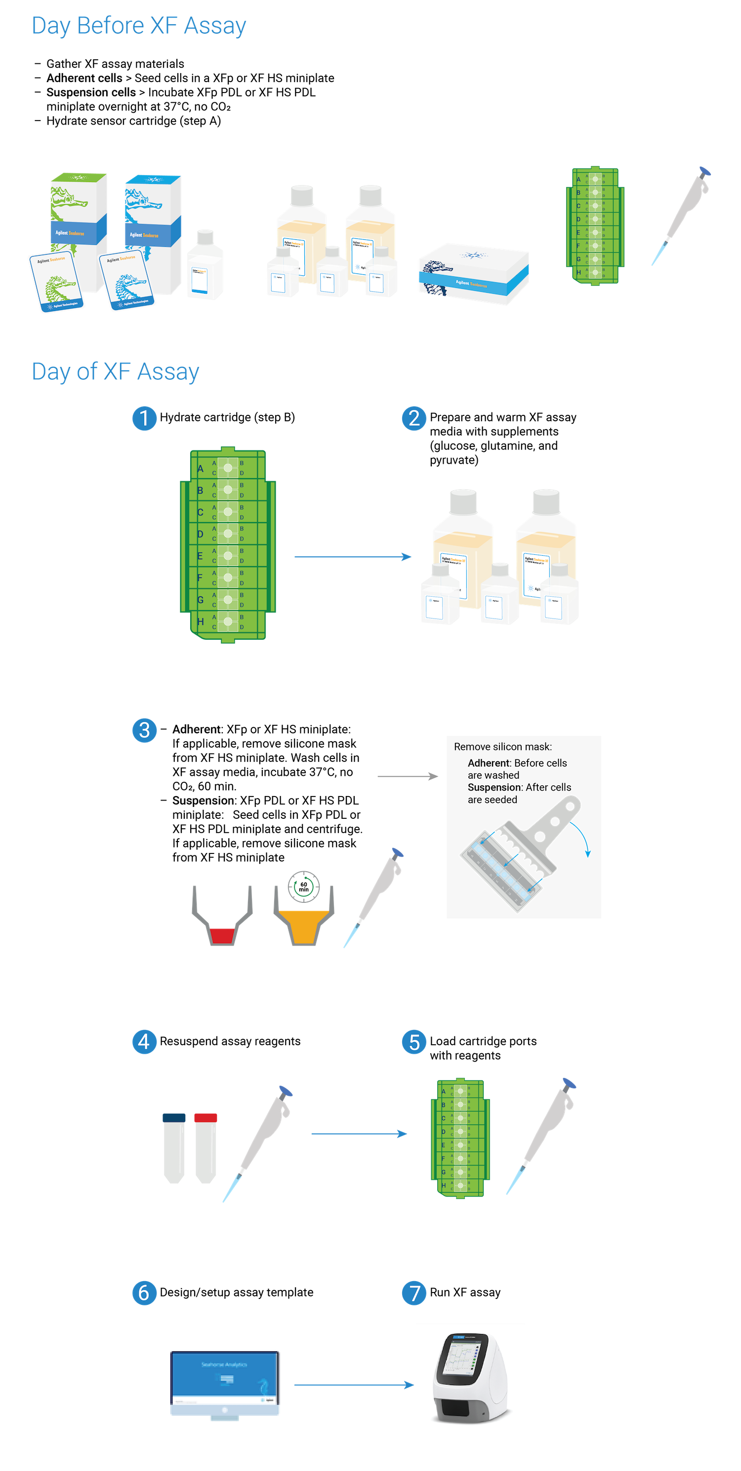 XFp PDL workflow