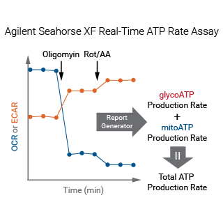 &#24517;&#23041;&#20307;&#32946;&#30331;&#24405;&#25163;&#26426;ATP Agilent figure 6