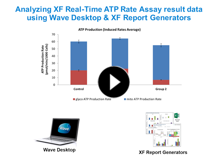 &#24517;&#23041;&#20307;&#32946;&#30331;&#24405;&#25163;&#26426;ATP Agilent video