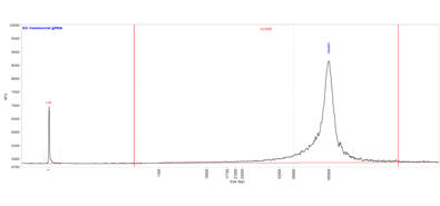 Large gDNA smear separated with the Genomic DNA 165 kb kit