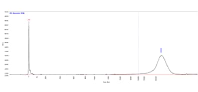 Genomic DNA separated using the Genomic DNA 50 kb kit on a Fragment Analyzer system