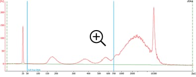 cfDNA separated on the Bioanalyzer system with the HS DNA assay