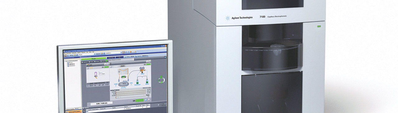 Capillary Electrophoresis & CE/MS