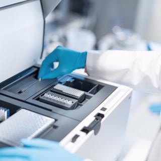 DNA ScreenTape Analysis