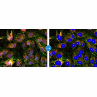 BioTek Gen5 Software for Imaging & Microscopy