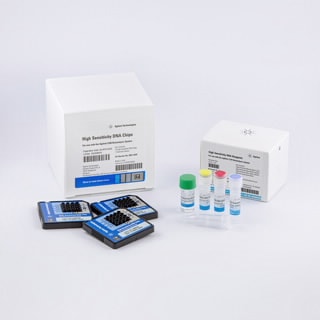 Bioanalyzer High Sensitivity DNA Analysis