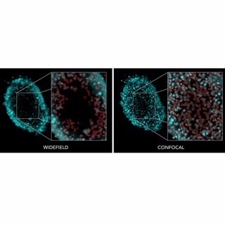 BioTek Cytation C10 Confocal Imaging Reader