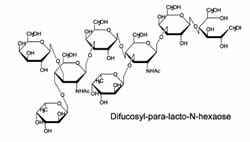 A representative glycan structure from the published paper.